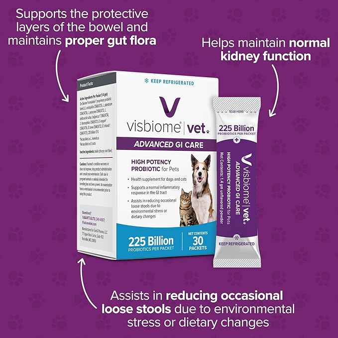 Visbiome® Vet Advanced GI Care High Potency Probiotic for Dogs & Cats – 225B CFU, 8-Strain Formula – Refrigerated, Veterinarian Recommended, Clean Label Certified – 60 Packets
