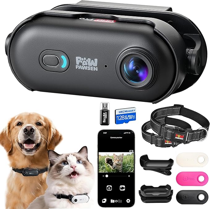 Dog Cat Camera Collar with Phone APP,4K Video Record Dog Collar Cameras, Pet Cam for Medium-Size Dogs,Wireless Body Action Outdoor Cam(Black - Black Nylon Collar - L, 128g)