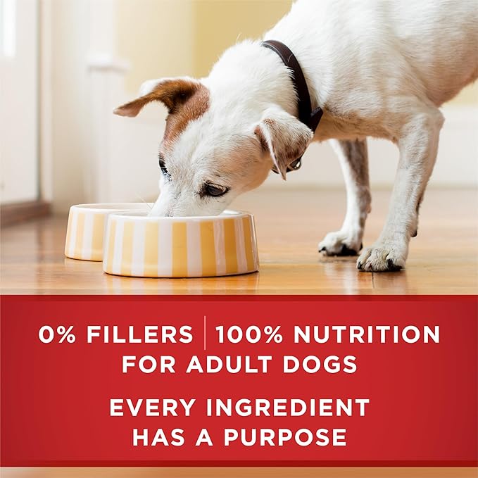 Purina ONE Tender Cuts Brain & Heart Chicken & Brown Rice Wet Dog Food - 13 oz. Can