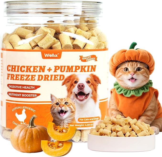Wellix Chicken & Pumpkin Raw Treat – Freeze Dried Chicken Snacks, Pet Food Topper, Grain Free, Crunchy Cat Treats for Indoor Cats - for Small, Medium & Large Cats & Dogs - 4.59 oz