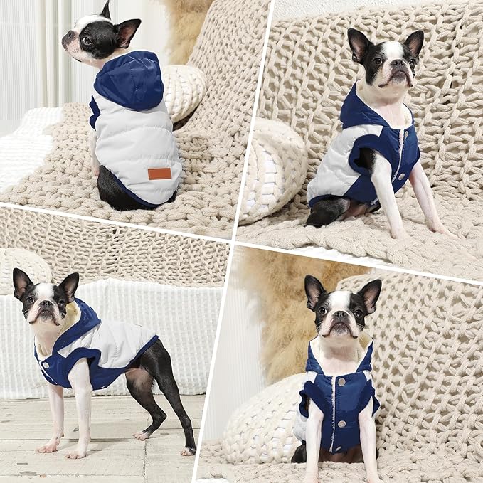 Fleece Lining Extra Warm Dog Hoodie in Winter,Small Dog Jacket Puppy Coats with Hooded,Beige and Blue S