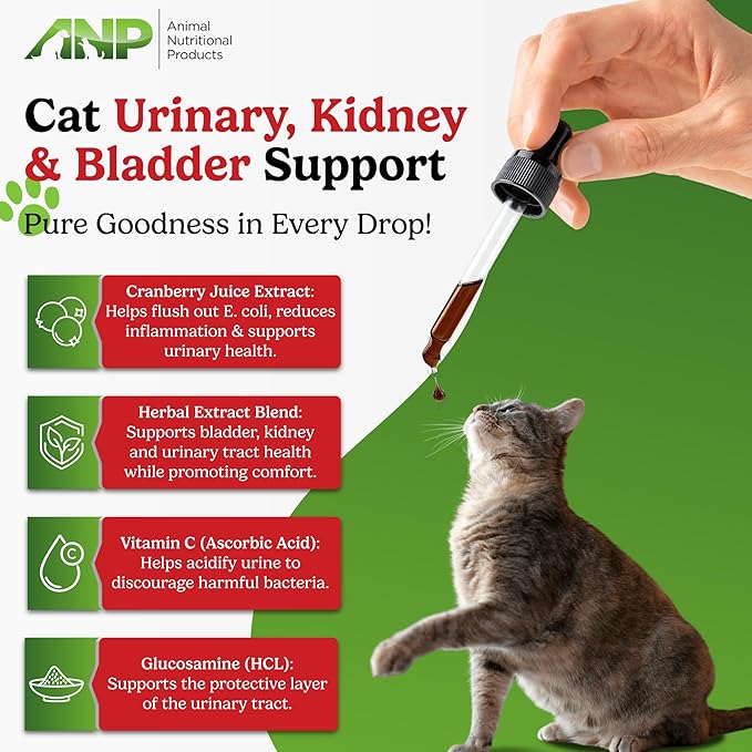 ANP Cat Urinary, Kidney & Bladder Support- Liquid Supplement with Cranberry & Herbal Blend, Natural Wellness Formula for Cats, Easy-to-Use, Tasty Chicken Flavor, 2 fl.oz /60 ml Bottle, 45 Day Supply