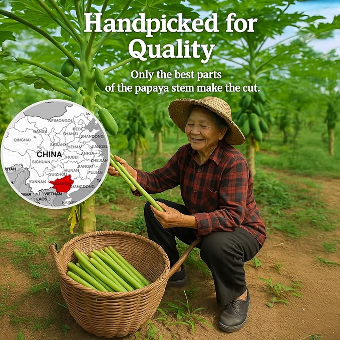 Rabbit Chew Toys – 100% Natural Papaya Branch Sticks for Guinea Pigs, Chinchillas, Small Animals | Safe, Green, High-Fiber Teeth Grinding Treats ((3pc) L:4.3 D:0.79-1.1in)