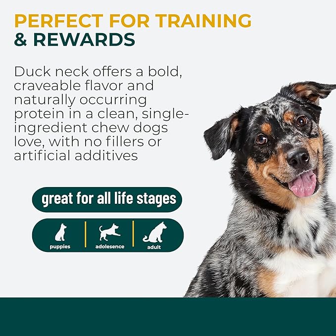 Momentum Carnivore Nutrition Freeze-Dried Duck Neck Dog Treats & Cat Treats – Single-Ingredient, High-Protein, Grain-Free, Natural Crunchy Chew – Made in USA – 3 oz Bag