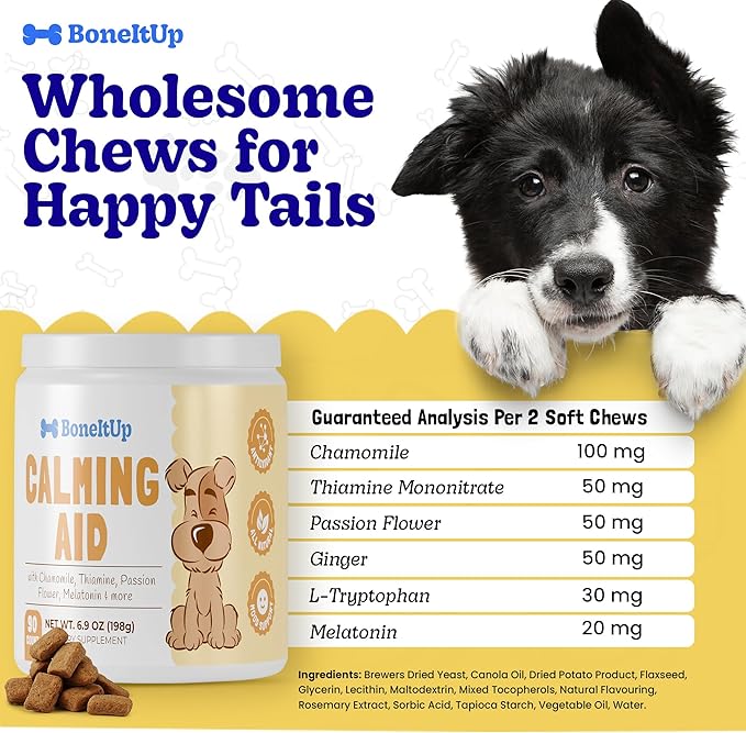 BoneItUp Pet Calming Chews for Dogs - Helps with Separation, Anxiousness, Thunderstorms & More - Natural Dog Calming Treats with Chamomile, L-Tryptophan & Melatonin for Balanced Mood & Sleep (90 Ct)