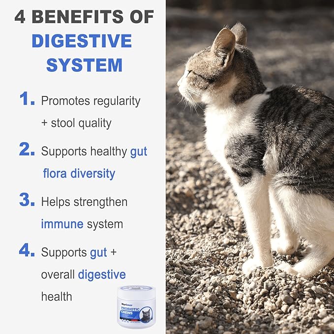 Probiotic Chews for Cats – 500 Million CFU Probiotics with Enzymes, Pumpkin, Papaya & Cranberry – Digestive & Immune Support Soft Chews – Chicken Flavor – 100 Count