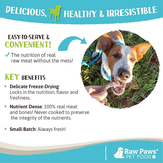 Raw Paws Freeze Dried Necks Bundle - Duck & Chicken Necks for Dogs & Cats, 9 oz - Made in USA - Single Ingredient Chews