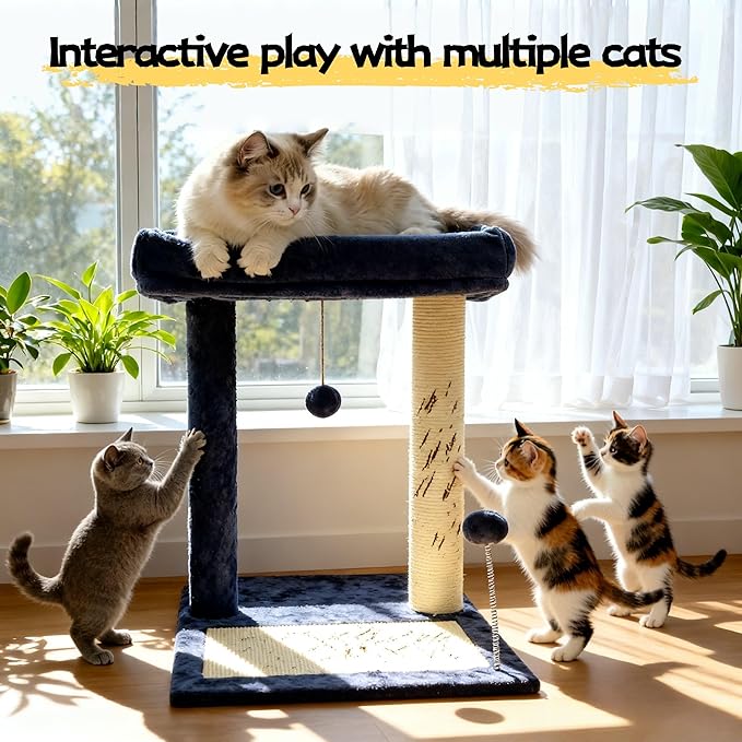 Cat Scratching Post, 19.69" H(50cm) Cat Tree with Cat Bed, Scratching Posts for Indoor Cats with Two Plush Balls Toy, Small Cat Tree for Kittens/Cats Playing and Relaxing