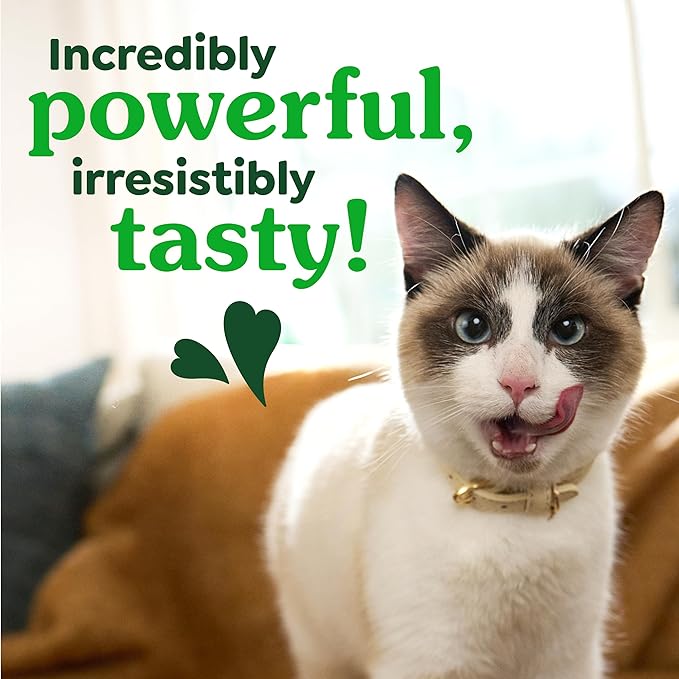 Greenies Cat Treats, Feline Veterinarian-Recommended Adult Natural Dental Cat Treats, Oven Roasted Chicken Flavor, 21 oz. Tub