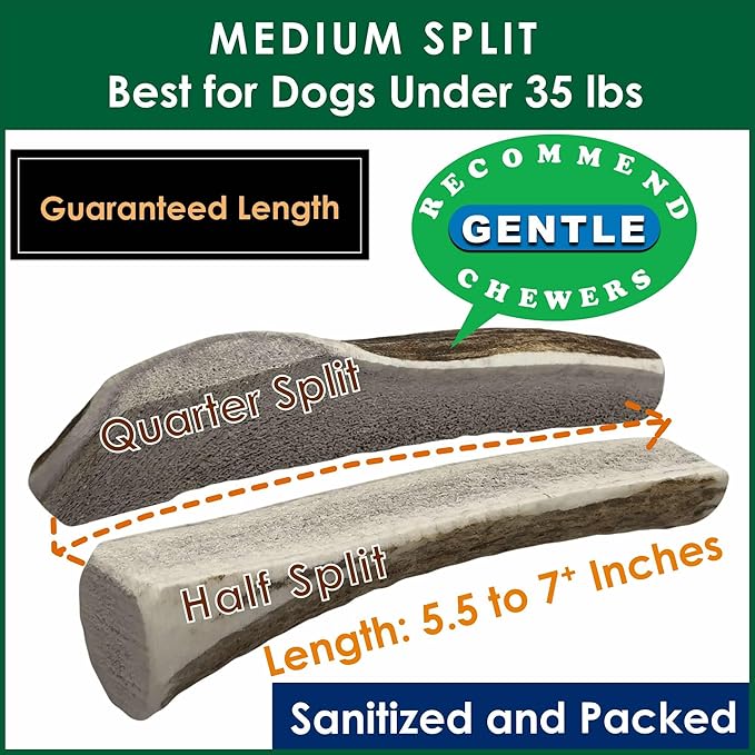 2-Pack Medium Split Elk Antler Dog Chews (5.5 to 7+ in) – All Natural, Premium Grade A, Odor-Free, USA-Sourced – Long-Lasting Dental Treats for Small Dogs Under 35 lbs