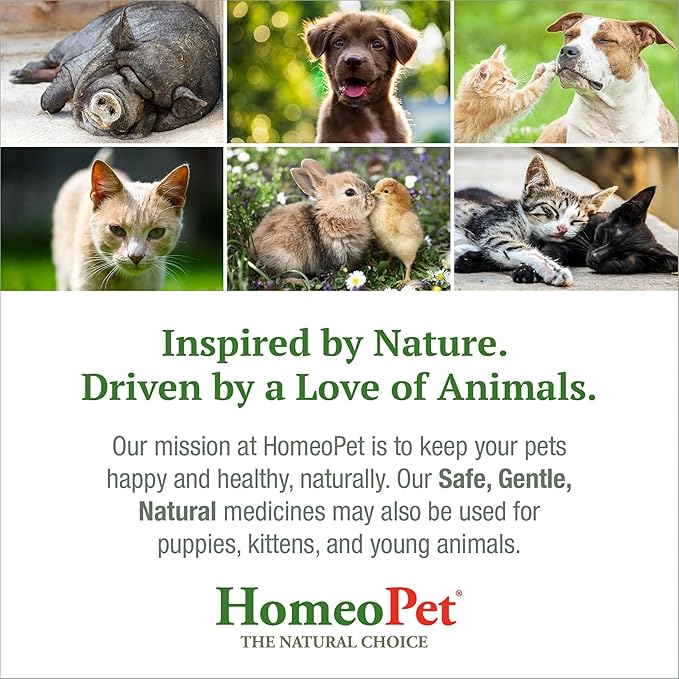 HomeoPet Cough, Safe and Natural Cough Supplement for Dogs, Cats, and Small Pets, 15 Milliliters