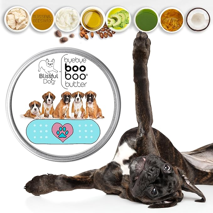The Blissful Dog BB-BOXER-16OZ Boxer Boo Butter, 16 oz.