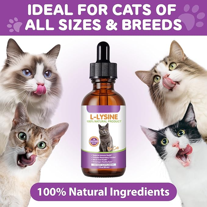 Lysine for Cats - 2 Packs Cat Lysine Drops