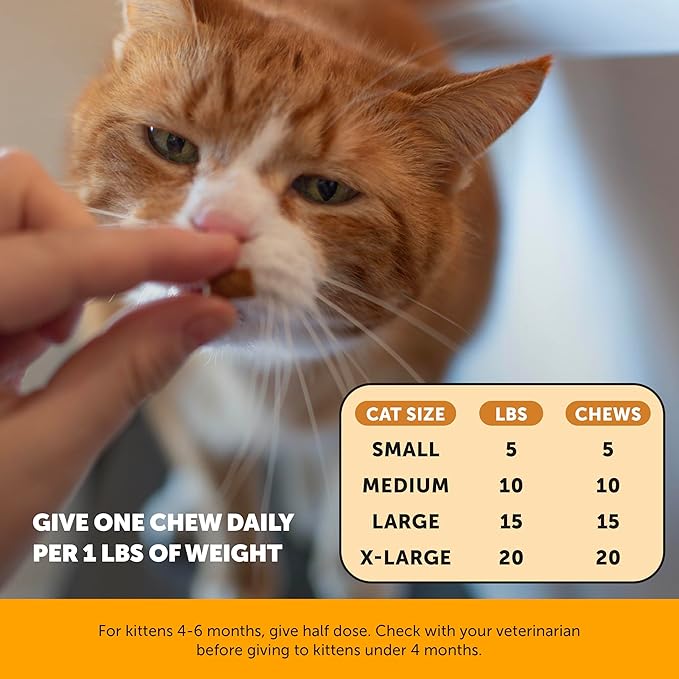 Cat Multivitamins + Immune Support Lysine Dual Texture Chew Supplement Bundle - Supports Overall Immune Health, Joints, Skin & Coat, and Cat Allergy Relief - Sneezing, Runny Nose