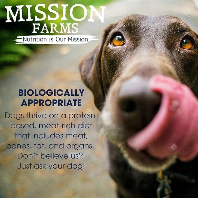 Mission Farms Wild Caught Salmon & Pumpkin Freeze-Dried Raw Dog Food Formula Complete & Balanced Meal for All Ages, 14 oz