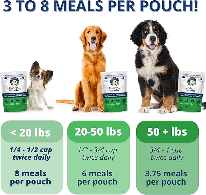 Under The Weather Easy to Digest Bland Diet for Sick Dogs | Contains Electrolytes | Gluten Free, All Natural, Freeze Dried 100% Human Grade Meats | 6 Pack - Hamburger, Rice & Sweet Potato