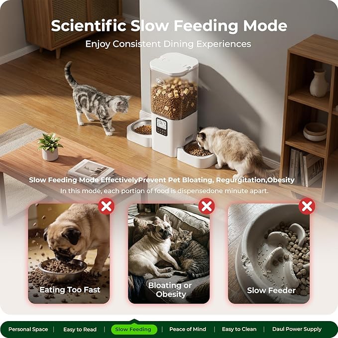 Timed Automatic Cat Feeder 2 Cats with Slow Feed: Dual Automatic Dog Feeder with Information Visualization, Programmable Auto Cat Food Dispenser for Multiple Pets,Detachable for Clean-29 Cup