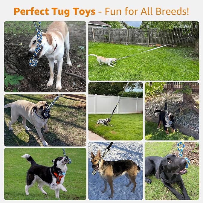 LOOBANI Outdoor Bungee Tug Toy, Dog Toy Hanging from Tree for Small to Large Dogs, Interactive Exercise Play Cord & Tether with Chew Rope Toy (Tree Stump Tug of War-Black)