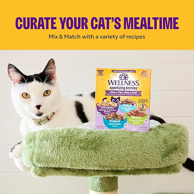 Wellness Appetizing Entrées Mousse, Adult Wet Cat Food, Natural, Protein-Rich, Grain-Free, 2.8 Ounce Pouch, 8 Pack, (Chicken & Turkey Recipe)