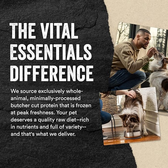 Vital Essentials Freeze Dried Raw Dog Food Topper, Duck Mini Nibs Topper for Dogs | High Protein, Low Carb, Grain Free, Dry Dog Food Topper | 18 oz
