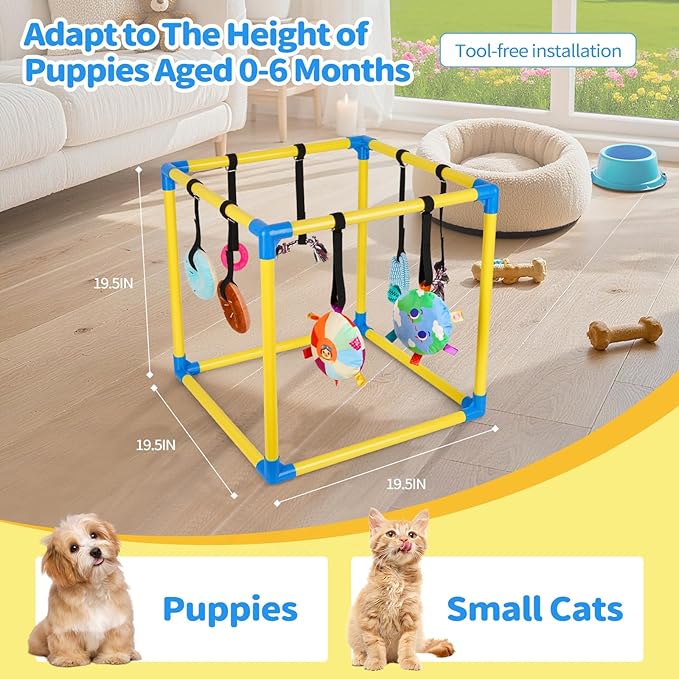 Liitrton Puppy Play Gym - Small Dogs Play Gym with 8 Hanging Toys, Indoor Puppy Jungle Gym with Interactive Dog Enrichment Toys, 19.5"x19.5"x19.5" PVC Frame