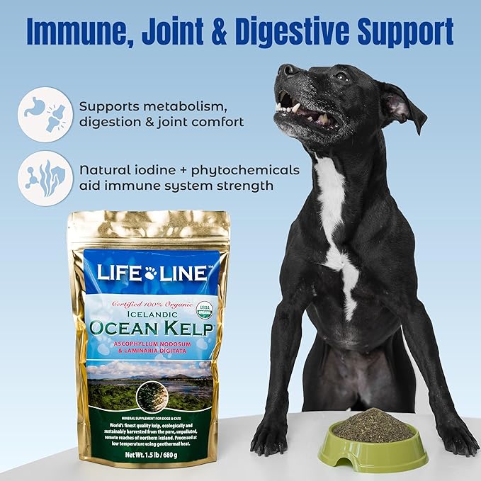 Life Line Organic Ocean Kelp Supplement for Dogs, Cats, Horses & Livestock | Natural Source of Iodine for Skin, Shiny Coat & Immune Support | Helps Reduce Tartar, Shedding & Aids Digestion – 1.5 lb