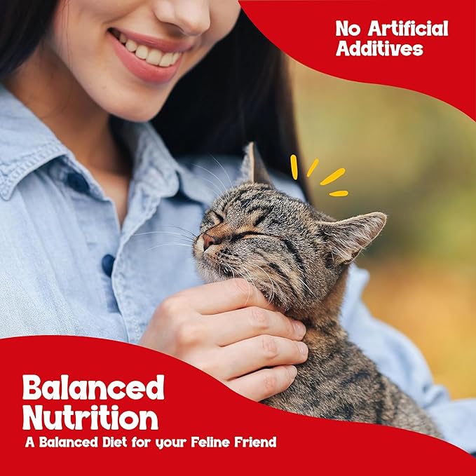 Beefeaters Chicken Pate Cat Treats Wet Cat Food 3oz (24-Pack) | Adult Wet Food with Taurine, Premium Catfood Wet Food, No Artificial Additives, Balanced Nutrition | Supports Immune System & Vision