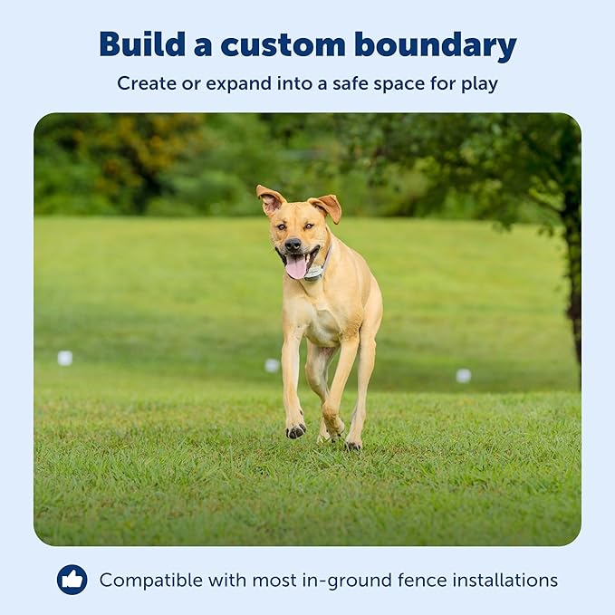 PetSafe Underground Dog Fence Wire (500 Foot) Create Your Boundary, Electric Dog Fence Wire (Yellow) - from The Parent Company of IFB
