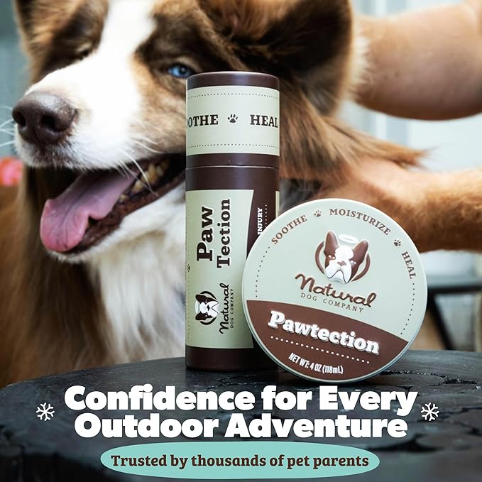 Natural Dog Company PawTection Balm for Dogs – Winter Paw Protection from Snow, Ice & Salt, Wax-Based Paw Barrier Balm, All Breeds for Cold Weather Walks & Outdoor Adventures, Lick-Safe, 2 oz Tin