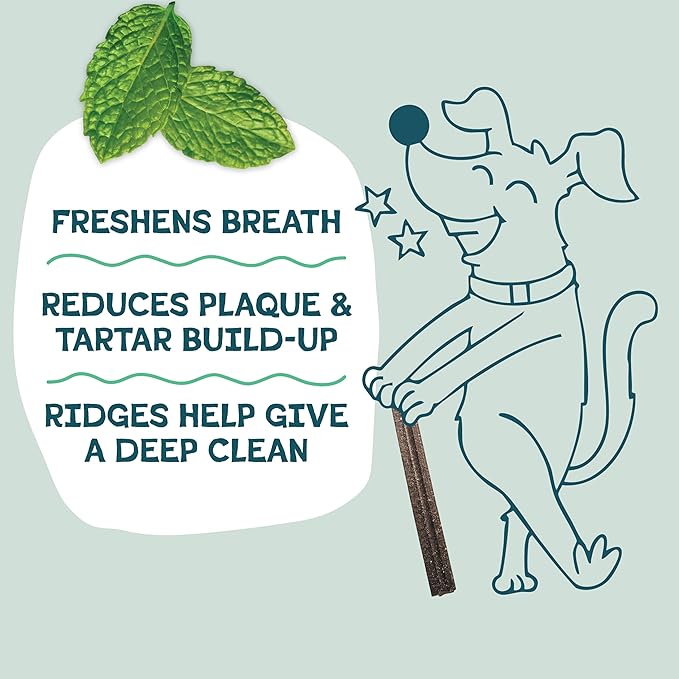 Shameless Pets Dental Chews for Dogs, Variety (3-Pack) - Natural Dog Teeth Cleaning Treats with Fresh Breath Benefits | Grain-Free Dental Sticks for Small, Medium & Large Dogs