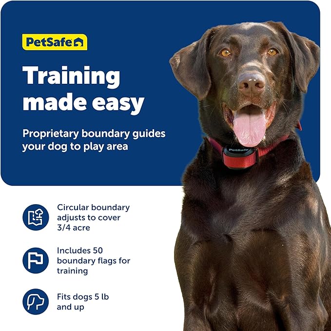 PetSafe Stay & Play 2-Dog Wireless Fence for Stubborn Dogs - America's Safest Wireless Pet Containment System - No Dig Electric Fence - Circular Boundary - Secure 3/4-Acre Yard - for Dogs 5lb+