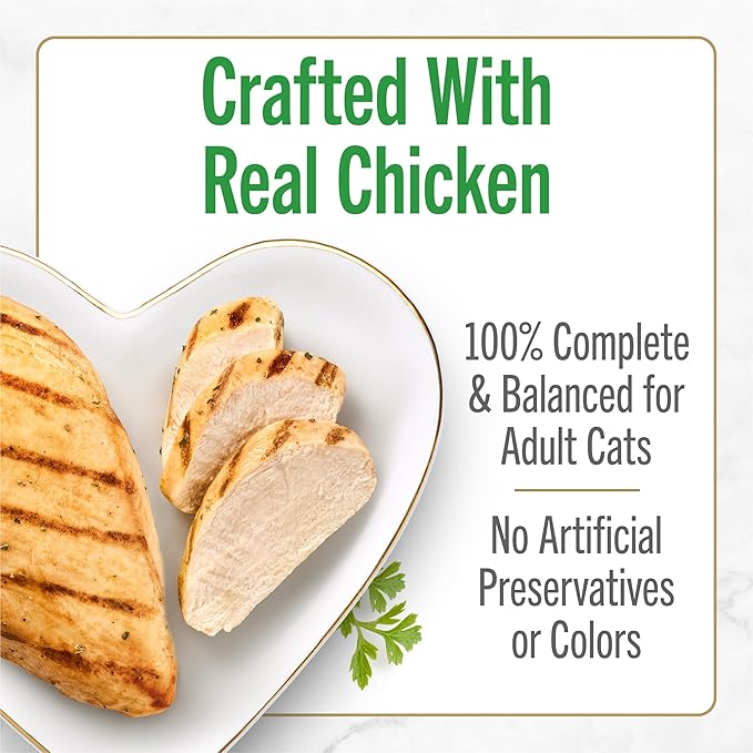 Fancy Feast Purina Petites Grilled Chicken Entrée with Rice in Gravy Gourmet Wet Cat Food - 2.8 oz. Tubs,(Pack of 24)