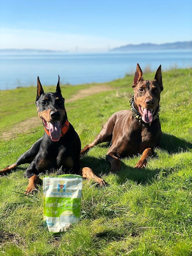 Apple Cinnamon Freeze Dried Dog Treats USA Sourced and Small Batch Made - Human-Grade, All Natural Superfood Dog Snacks Without Artificial Preservatives, Grain Free - 3.5 oz