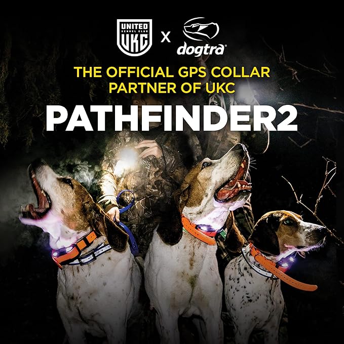 Dogtra Pathfinder 2 GPS Tracker e Collar + Titanium Contact Points 3/4" | 9 Mile, LED Light, No Monthly Fees, Waterproof, Smartwatch Control, Satellite Tracking, Multiple Dogs, Smartphone Required