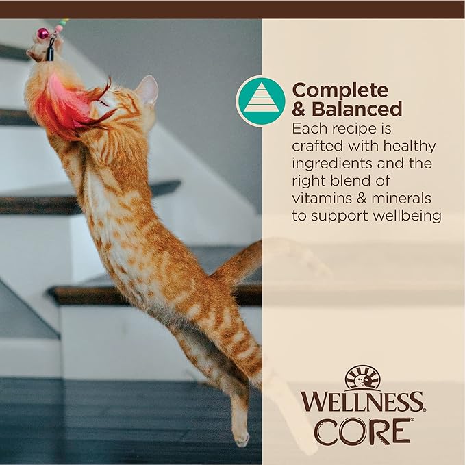 Wellness CORE Tiny Tasters Flaked Adult Wet Cat Food,Natural,Protein-Rich,Grain Free,1.75-Ounce Pouch,(Tuna & Salmon),(Pack of 24)