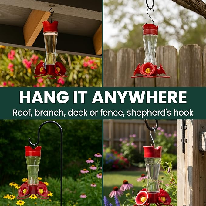 Perky-Pet 203CPBN-2 Glass Hummingbird Feeders for Outdoors with Perches,Ant Moat,Bee Guards -,2 Count (Pack of 2)