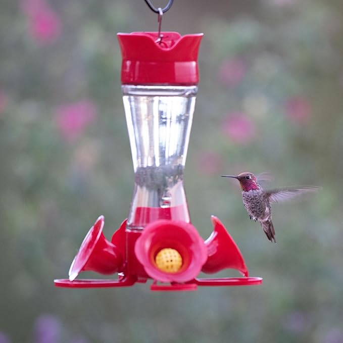 Perky-Pet 203CPBN-2 Glass Hummingbird Feeders for Outdoors with Perches,Ant Moat,Bee Guards -,2 Count (Pack of 2)