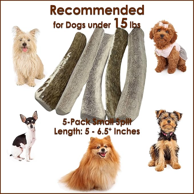 5-Pack Small Split Elk Antler Dog Chews (5 to 6.5+ in) – All Natural, Premium Grade A, Odor-Free, USA-Sourced – Long-Lasting Dental Treats for Toy and Small Dogs Under 15 lbs