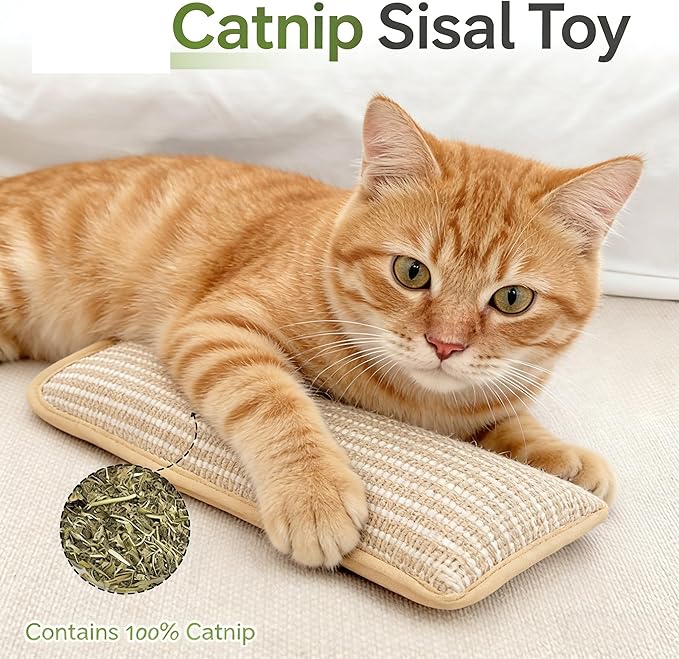 Catnip Toys, Cat Toys，Catnip Toys for Cats，2 Pack Interactive Catnip Toys with Organic 8000mg Herbal Blend for Indoor Scratching, Chewing & Teething, Fun for Kittens and Adult Cats