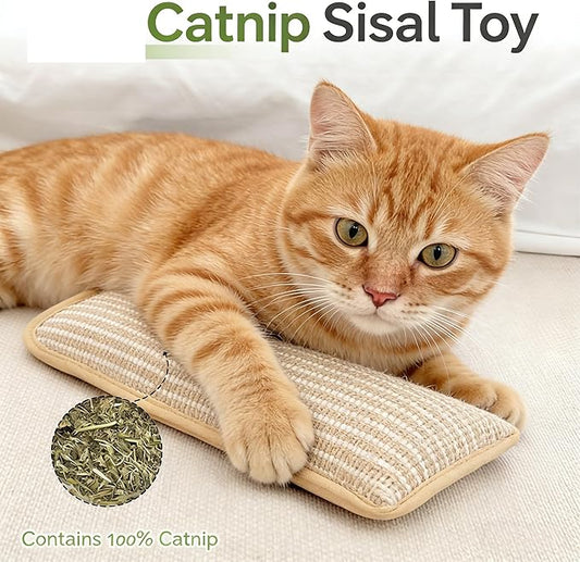 Catnip Toys, Cat Toys，Catnip Toys for Cats，2 Pack Interactive Catnip Toys with Organic 8000mg Herbal Blend for Indoor Scratching, Chewing & Teething, Fun for Kittens and Adult Cats