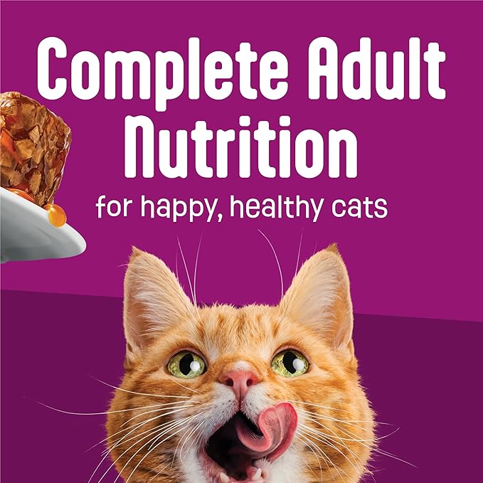 Purina Friskies Glaz’d and Infuz’d with Gravy Glaz’d Shrimp Flavored Wet Food for Cats - 5.5 Ounce (Pack of 24)