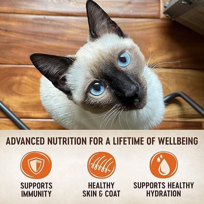 Wellness CORE Tiny Tasters Wet Cat Food Pate, Seafood & Poultry Variety Pack Bundle, 1.75-Ounce Pouches (Pack of 24)