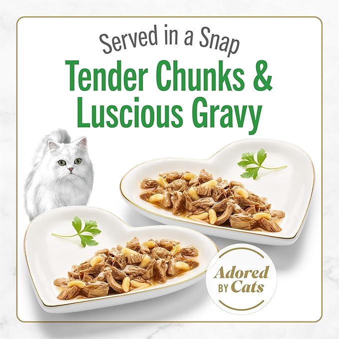 Fancy Feast Purina Petites Grilled Chicken Entrée with Rice in Gravy Gourmet Wet Cat Food - 2.8 oz. Tubs,(Pack of 24)