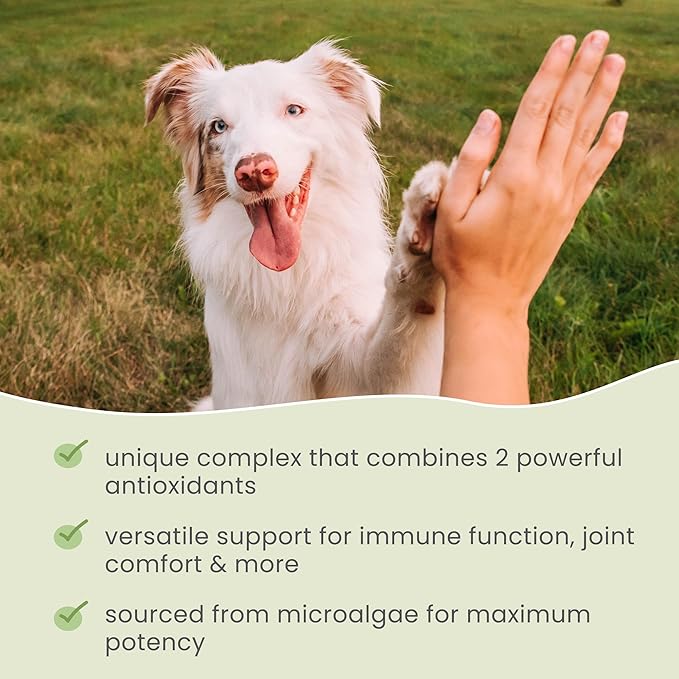 Dr. Mercola SpiruGreen for Cats & Dogs - Antioxidant Support - Spirulina & Astaxanthin - Nutrient-Dense Microalgae Formula - 180 Tablets