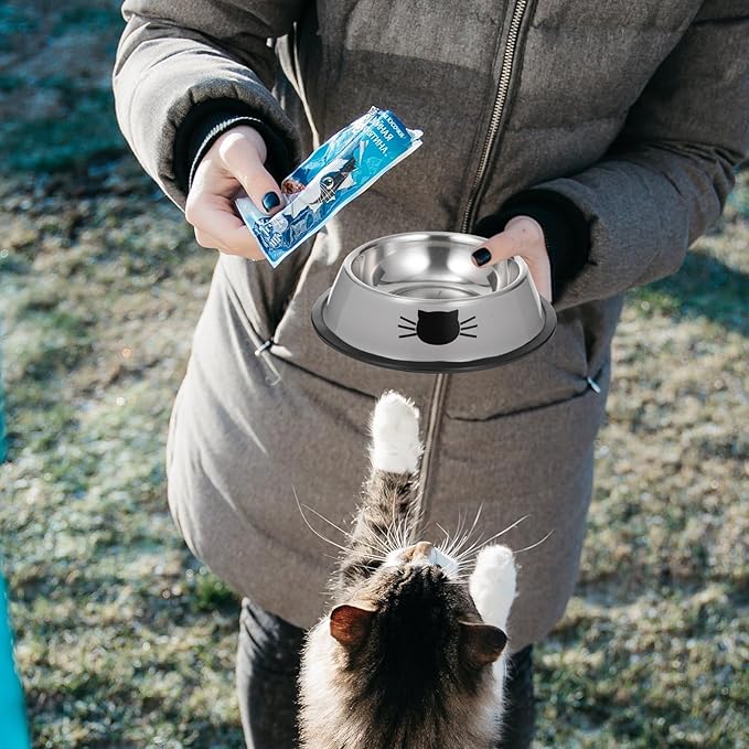 COHEALI Thickened Double Bowl Pet Feeder Set Stainless Steel Dog Bowl Cat Water Dish for Puppies and Kittens Indoor Feeding Supplies