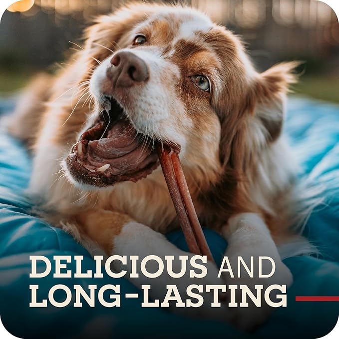 Redbarn Pet Products All-Natural Bully Stick Rings for Dogs - Long Lasting Rawhide Chew Treat - Case of 35