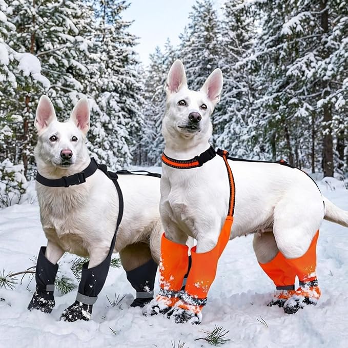 Dog Suspender Boots, Anti-Slip & Fall Waterproof Dog Shoes Leggings, Dog Paw Protector for Small Medium Dogs, Adjustable Dog Boots Pet Shoes for Outdoor Walking