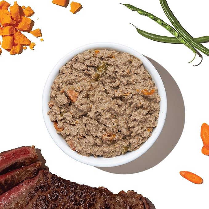 The Honest Kitchen Human Grade Wet Dog Food - Beef, Cheddar, & Veggies