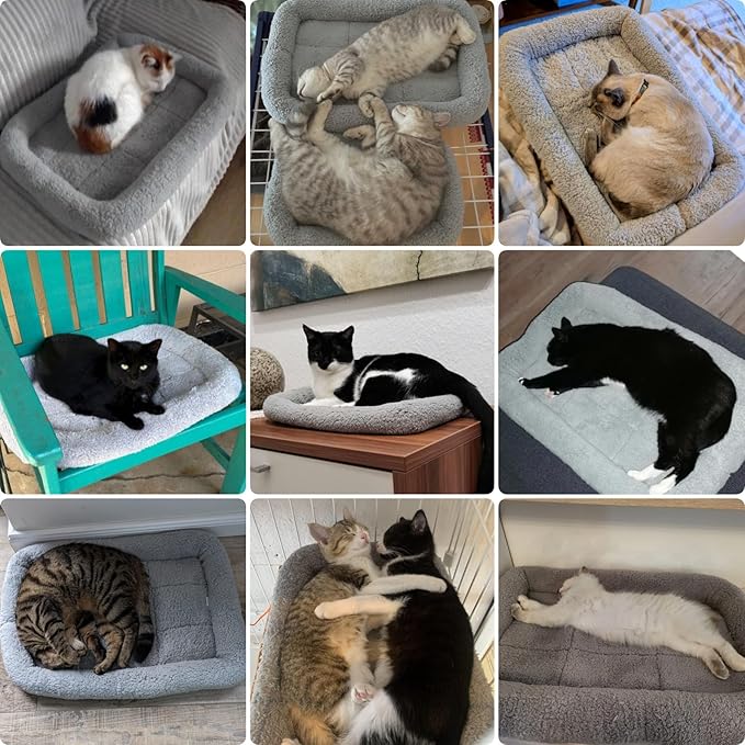 PETLESO Small Cat Bed Mat, 22" x 16" Plush Cushion with Surrounding Pillow for Small to Meidum Dogs Cats Sleeping, Indoor Pet Beds Furniture Carrier Crate Anti Skid Pad, Washable, Medium