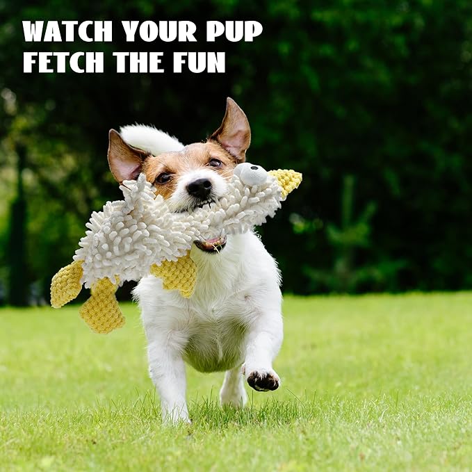 Nocciola Plush Squeaky Dog Toys, Cute Durable Stuffed Crinkle Puppy Pet Chew Toys for Large Medium Small Dogs - Jellyfish